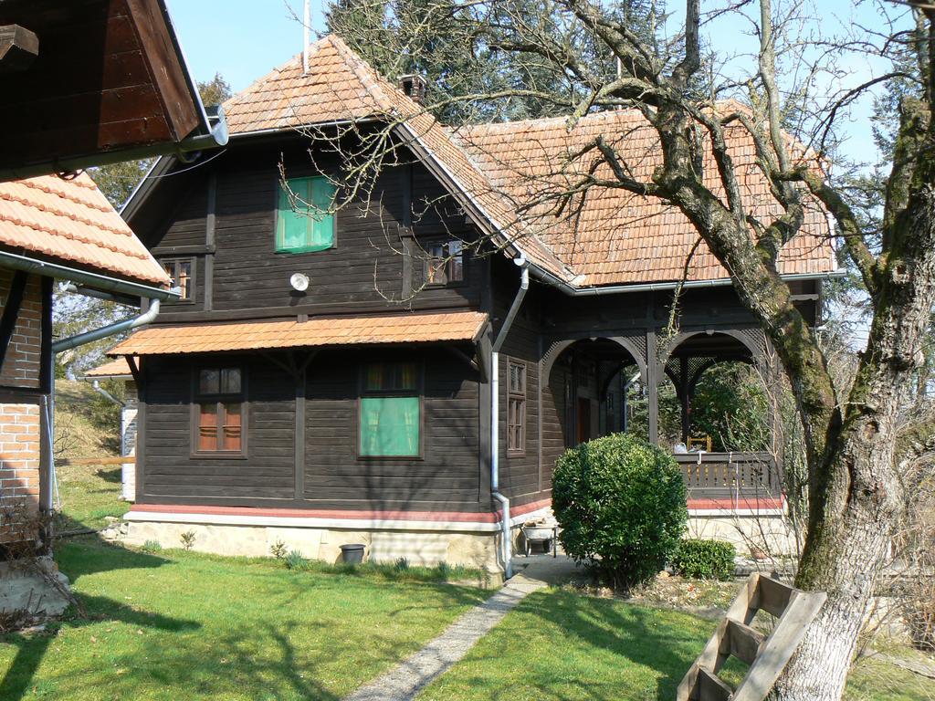 Country House Stoljetna Vila Seona Buitenkant foto