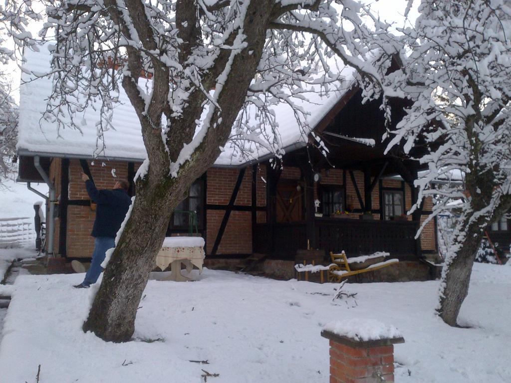 Country House Stoljetna Vila Seona Buitenkant foto