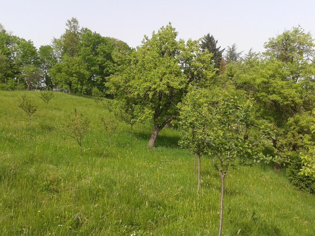 Country House Stoljetna Vila Pension Seona Buitenkant foto