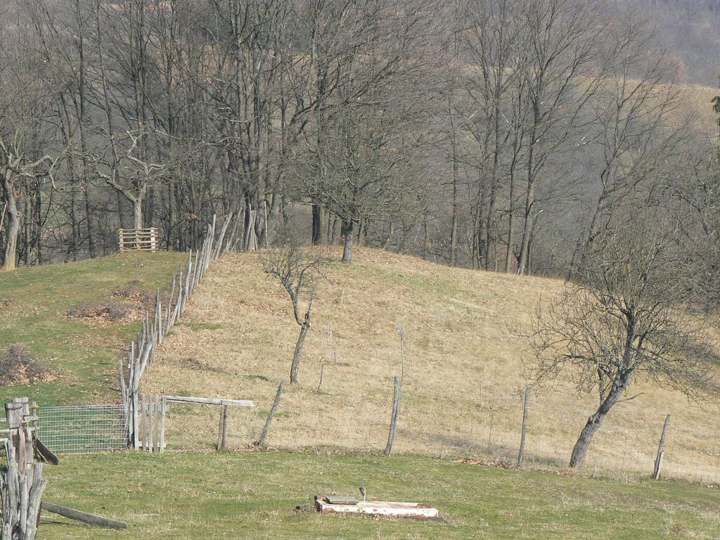 Country House Stoljetna Vila Pension Seona Buitenkant foto