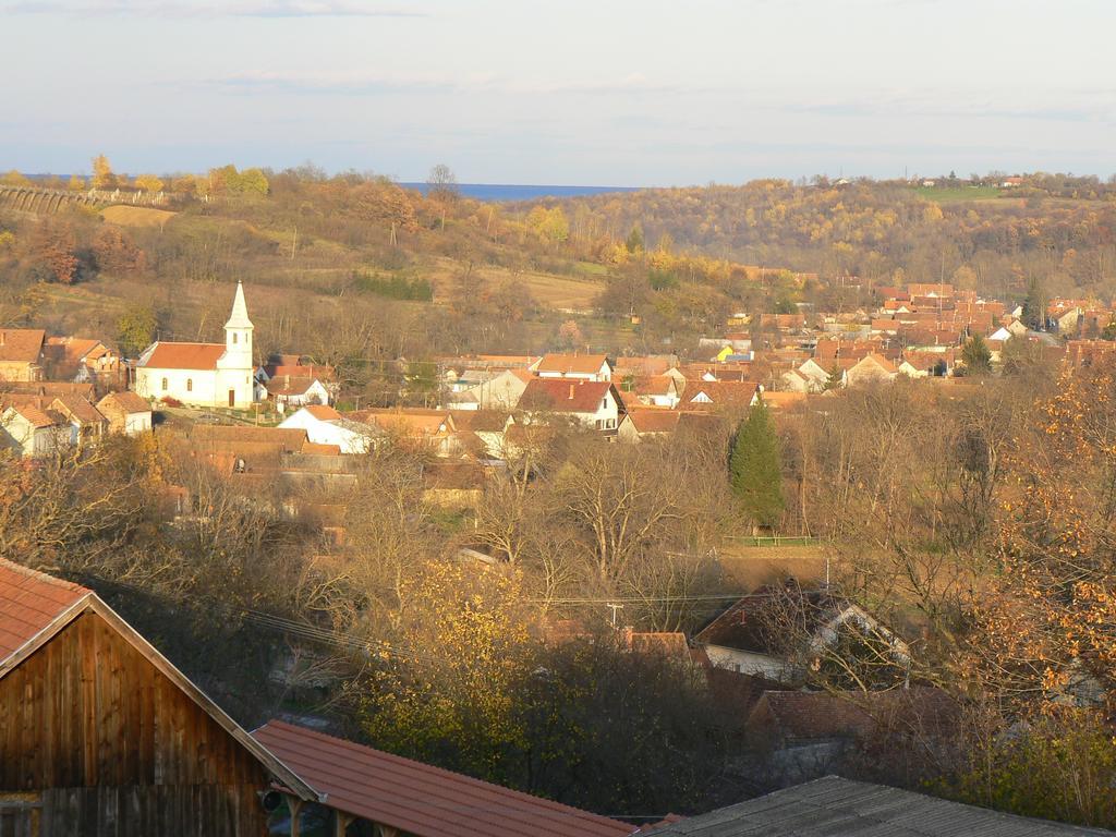 Country House Stoljetna Vila Seona Buitenkant foto