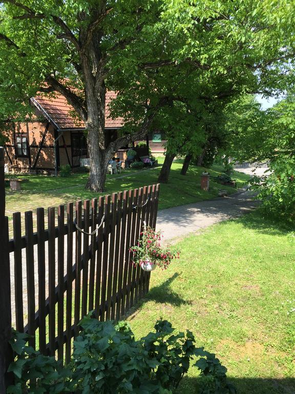 Country House Stoljetna Vila Seona Buitenkant foto