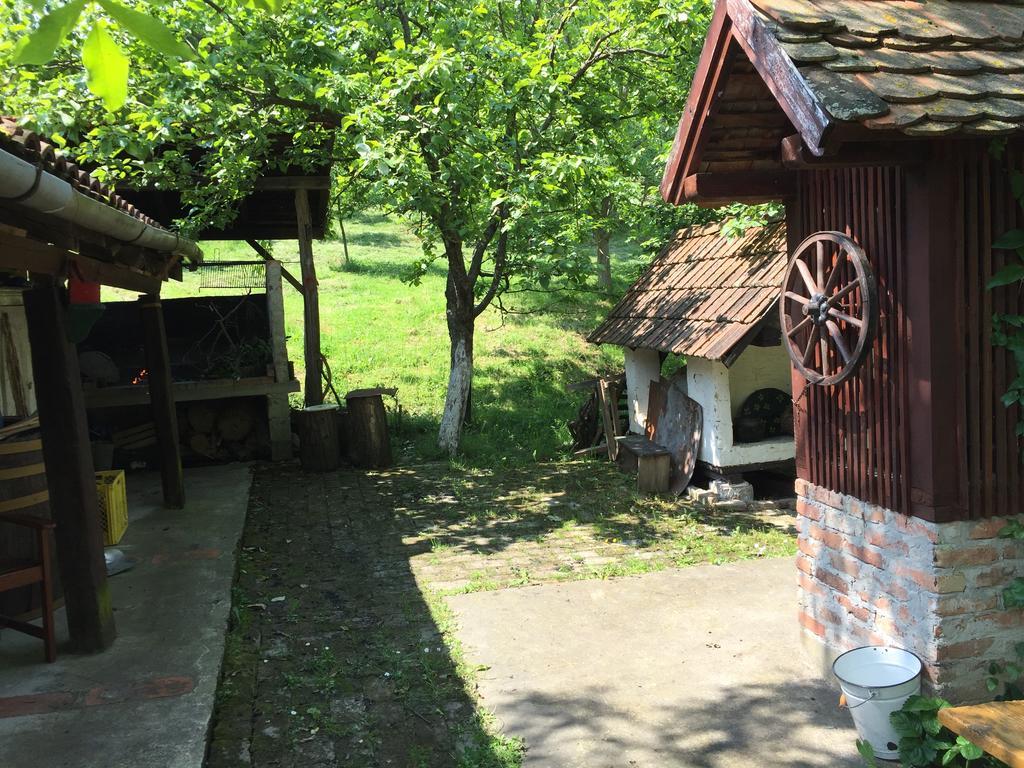 Country House Stoljetna Vila Seona Buitenkant foto