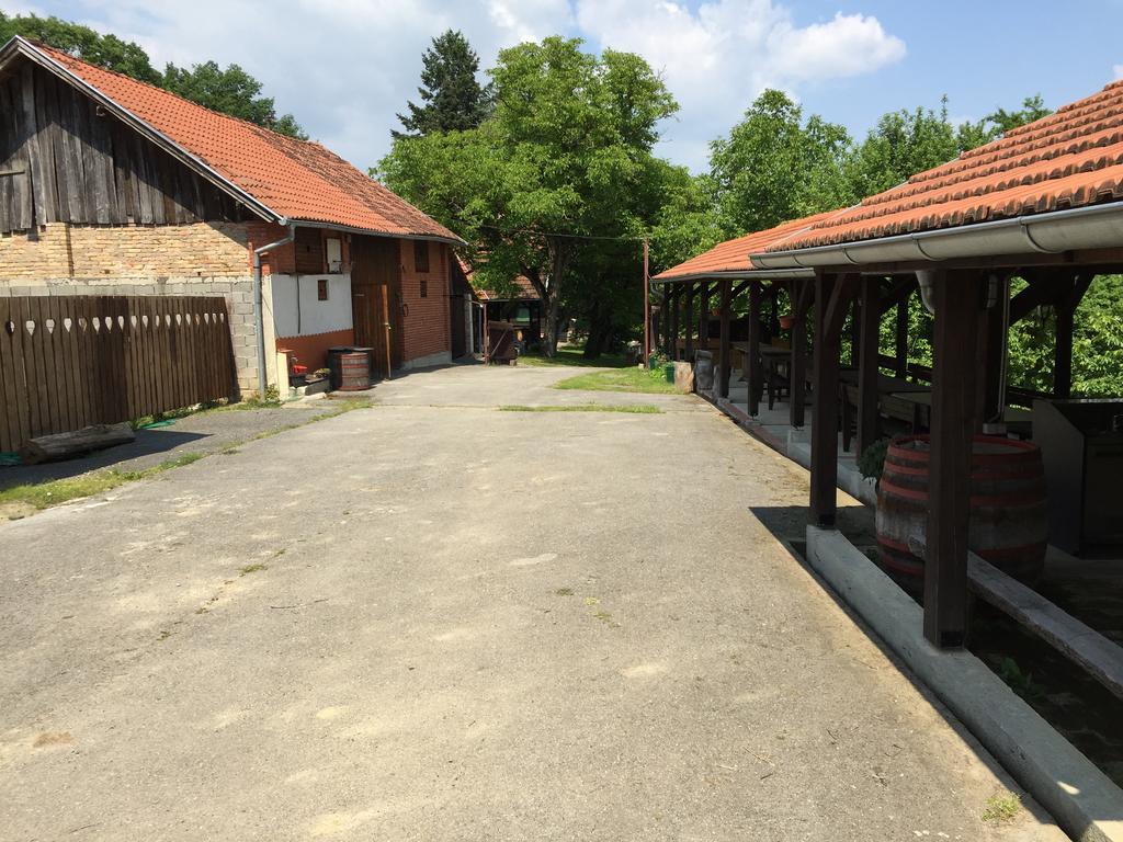 Country House Stoljetna Vila Seona Buitenkant foto