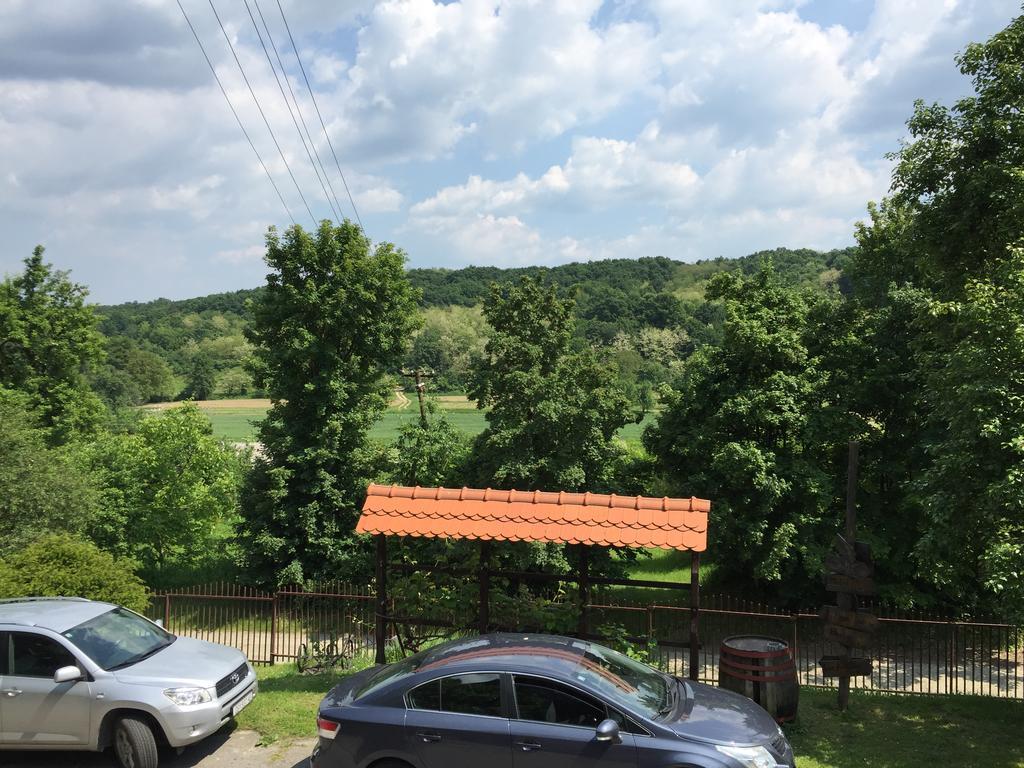 Country House Stoljetna Vila Seona Buitenkant foto