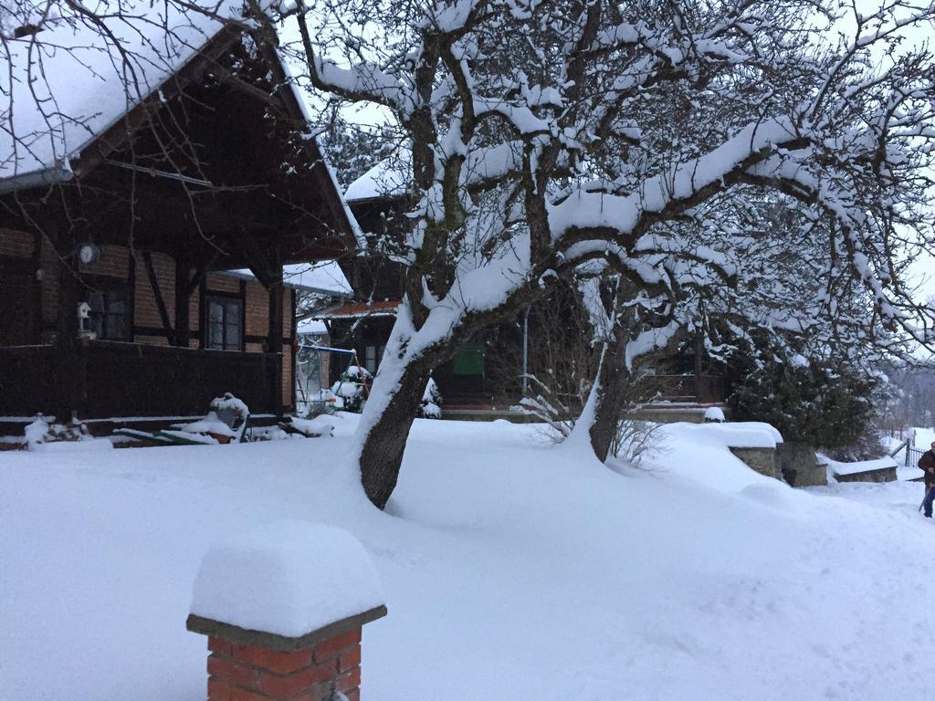 Country House Stoljetna Vila Seona Buitenkant foto