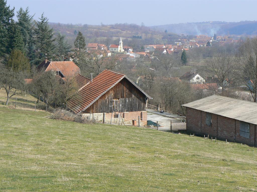 Country House Stoljetna Vila Pension Seona Buitenkant foto