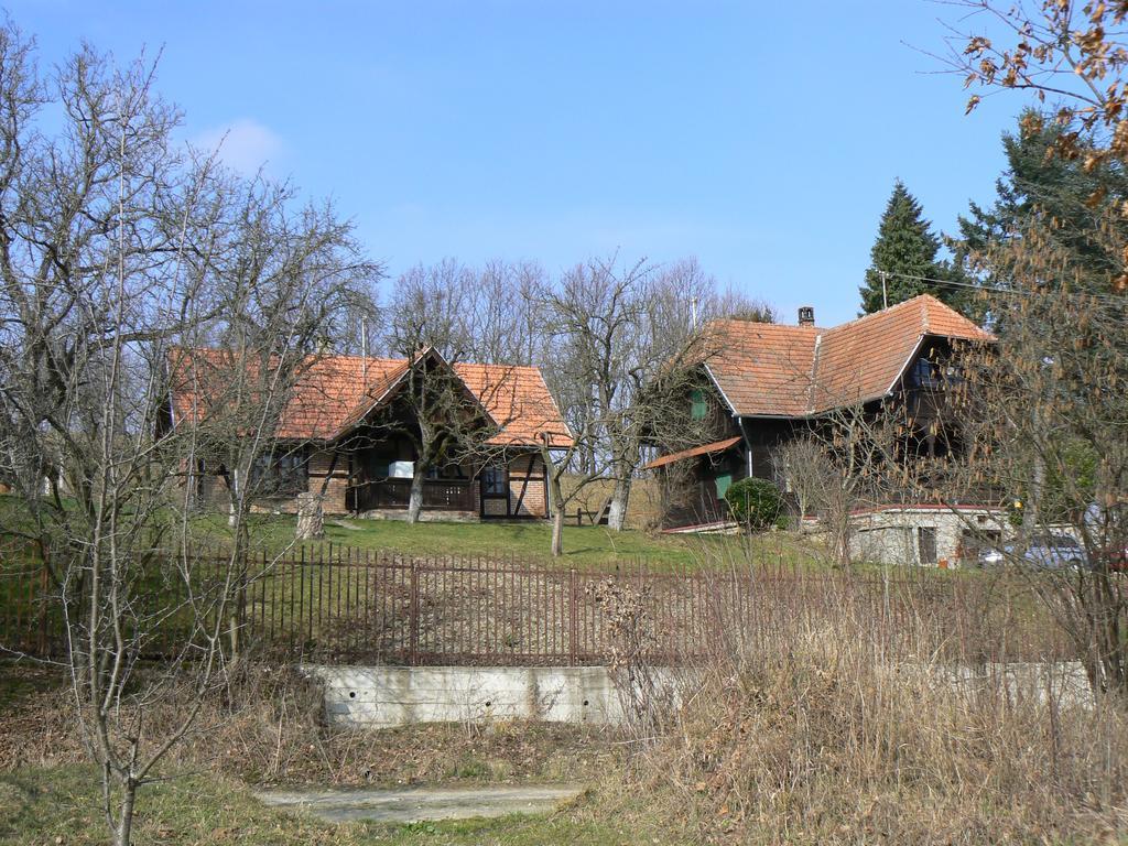 Country House Stoljetna Vila Pension Seona Buitenkant foto